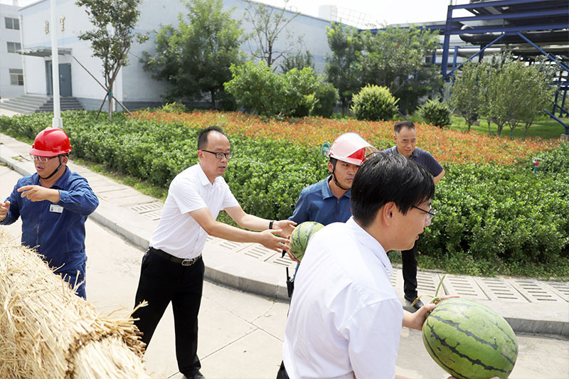 1597539867850206ZtbE.jpg 12.jpg